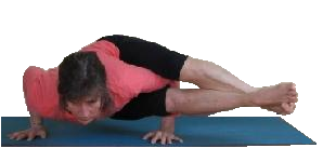 Loris asana