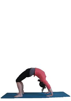 Yrdhva Dhanurasana